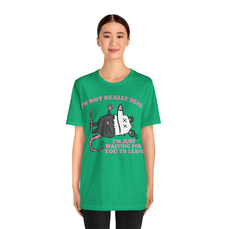 Load image into Gallery viewer, Dead Possum Unisex Tee
