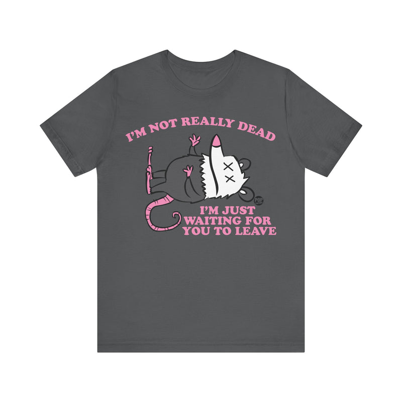 Load image into Gallery viewer, Dead Possum Unisex Tee
