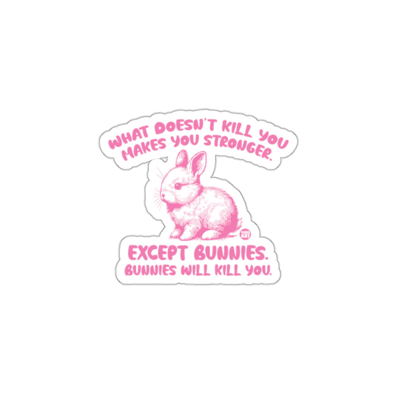 Load image into Gallery viewer, What Doesn't Kill You Except Bunnies Sticker
