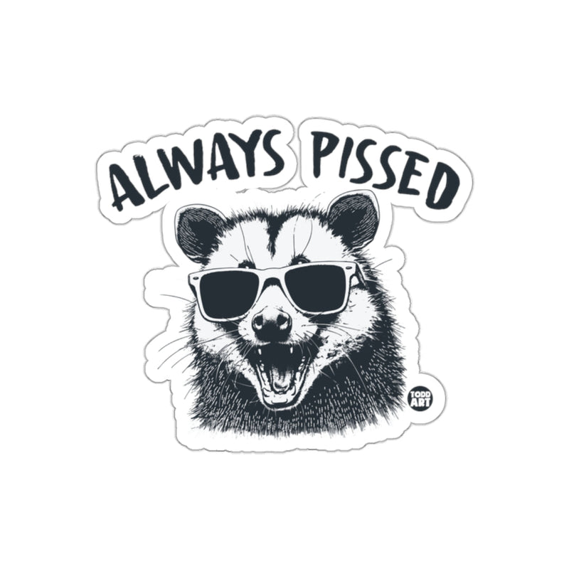 Load image into Gallery viewer, Always Pissed Raccoon Wearing Shades Graphic Design sticker

