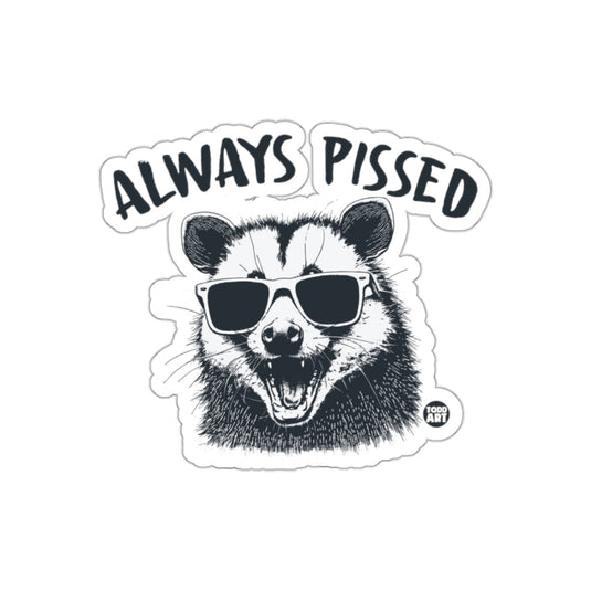 Always Pissed Raccoon Wearing Shades Graphic Design sticker