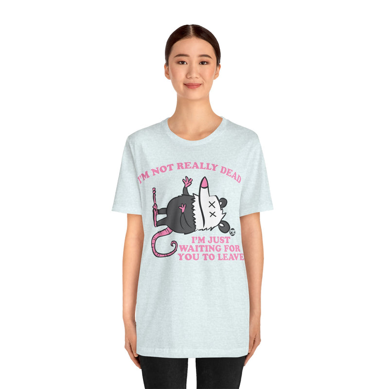 Load image into Gallery viewer, Dead Possum Unisex Tee
