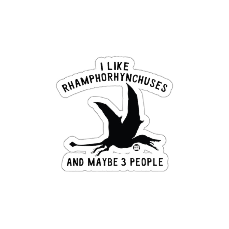 Load image into Gallery viewer, I Like Rhamphorhynchuses and Maybe 3 People Sticker
