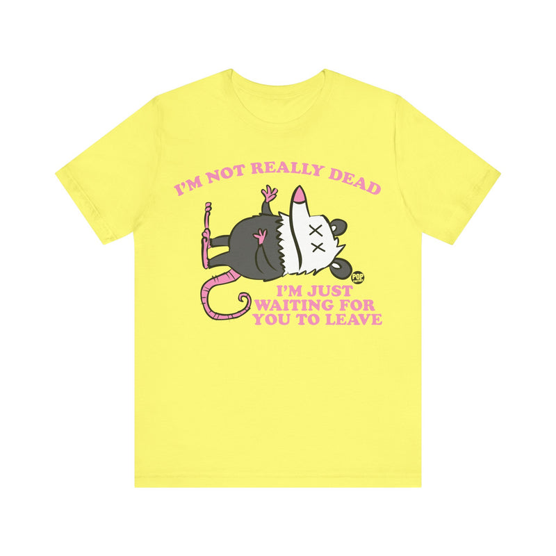Load image into Gallery viewer, Dead Possum Unisex Tee
