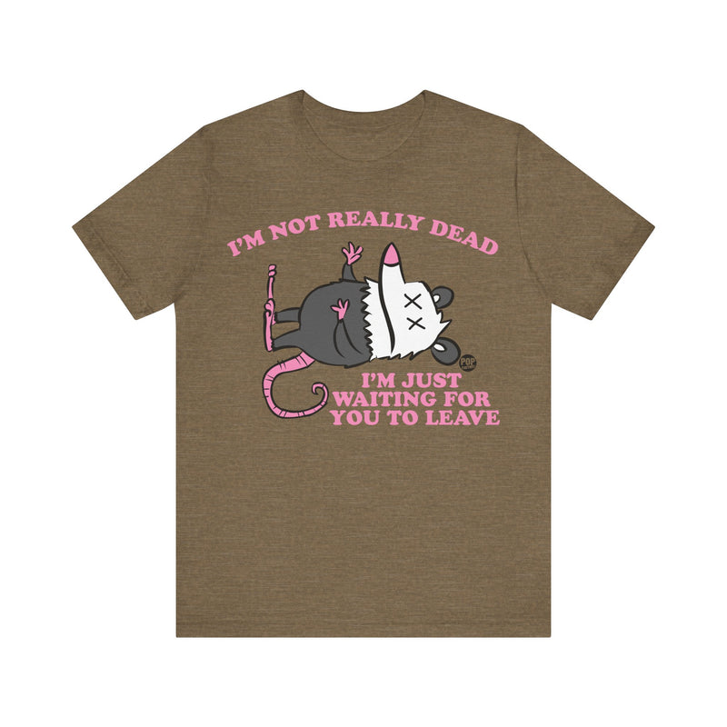Load image into Gallery viewer, Dead Possum Unisex Tee
