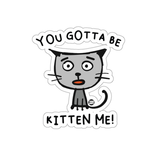 You Gotta Be Kitten Me Hilarious Cat Sticker