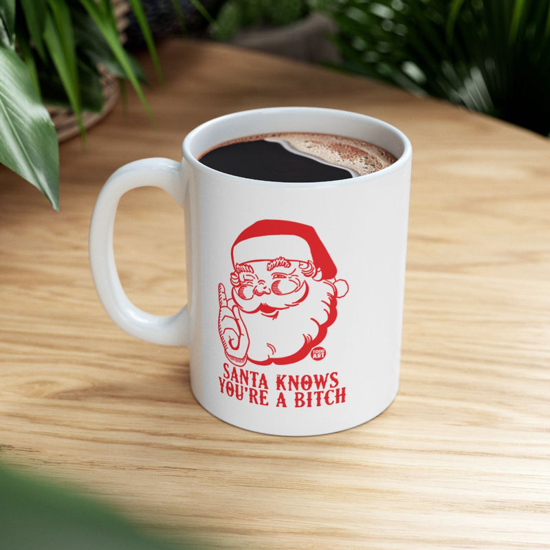 Load image into Gallery viewer, Santa Knows You're A Bitch Funny Holiday Mug
