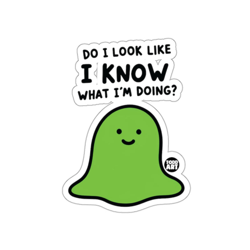 Load image into Gallery viewer, Do I Look Like I Know What I'm Doing Sticker
