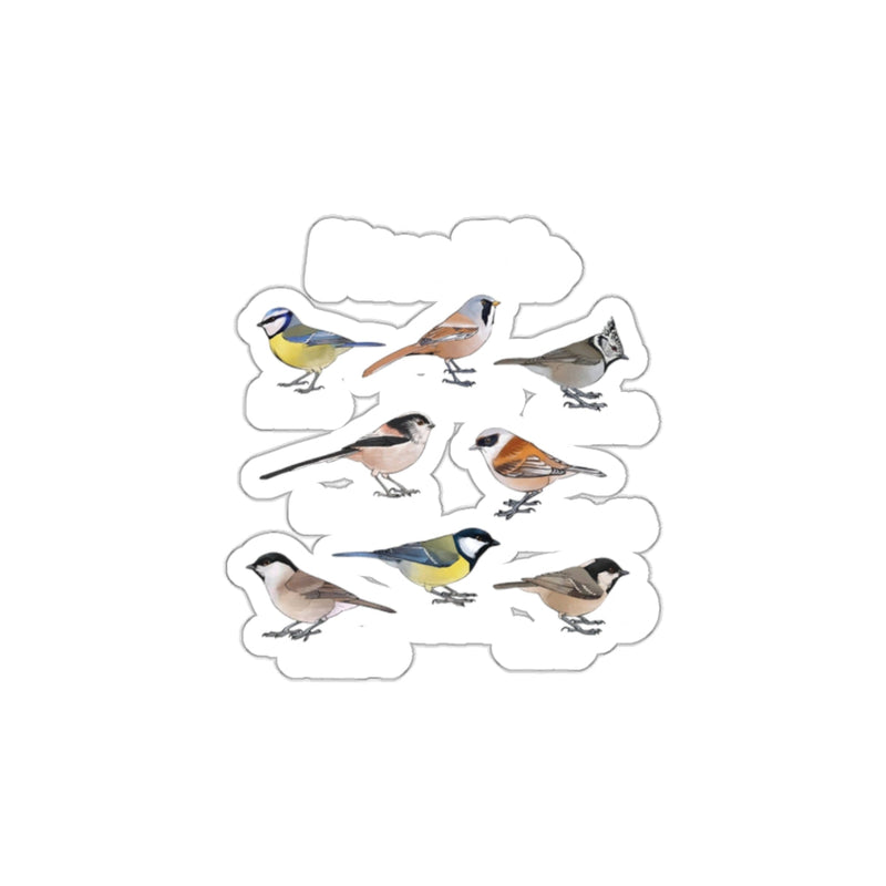 Load image into Gallery viewer, Assorted Colorful Birds Illustration Sticker Set
