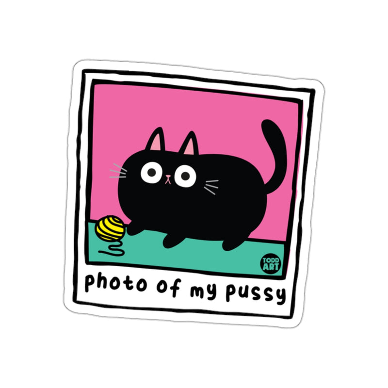 Load image into Gallery viewer, Photo Of My Pussy Black Cat Funny Pun Art sticker
