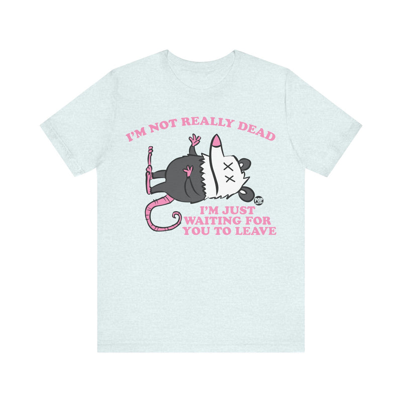 Load image into Gallery viewer, Dead Possum Unisex Tee
