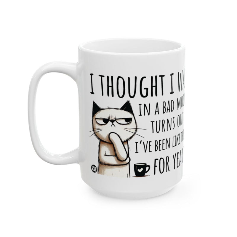 Load image into Gallery viewer, I Thought I Was In A Bad Mood Funny Cat Mug Product
