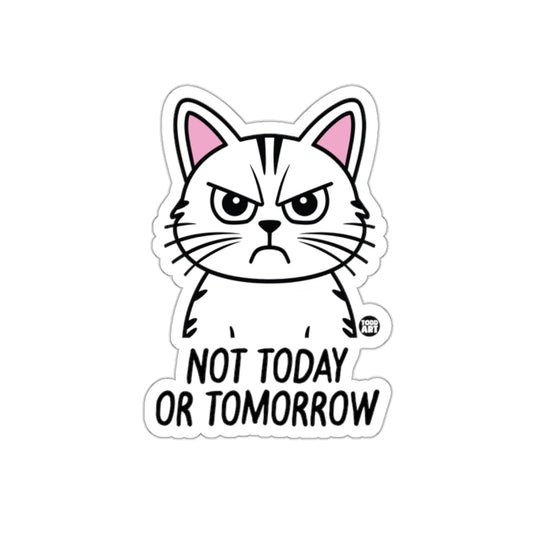 Grumpy Cat Not Today or Tomorrow Sticker