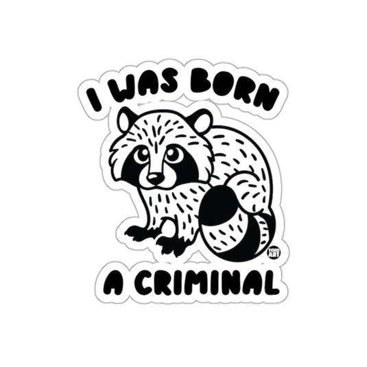 I Was Born A Criminal Raccoon Illustration sticker