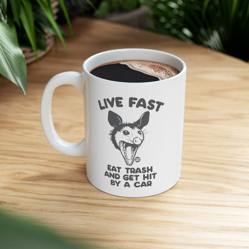 Load image into Gallery viewer, Live Fast Eat Trash And Get Hit By A Car mug
