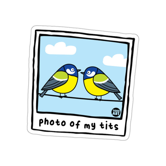 Photo Of My Tits Two Birds Sky Todd Art sticker