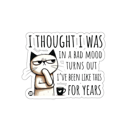 I Thought I Was in a Bad Mood Grumpy Cat sticker