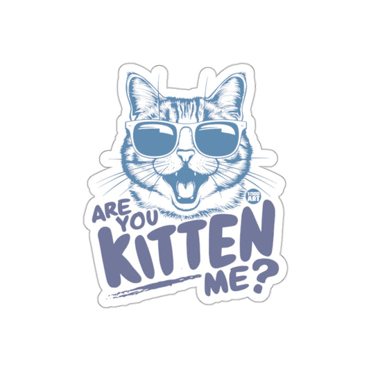 Are You Kitten Me Funny Cat With Sunglasses Design sticker