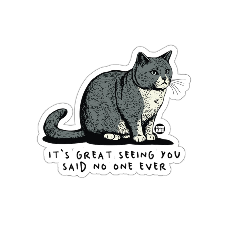 Load image into Gallery viewer, It's Great Seeing You Said No One Ever Sticker
