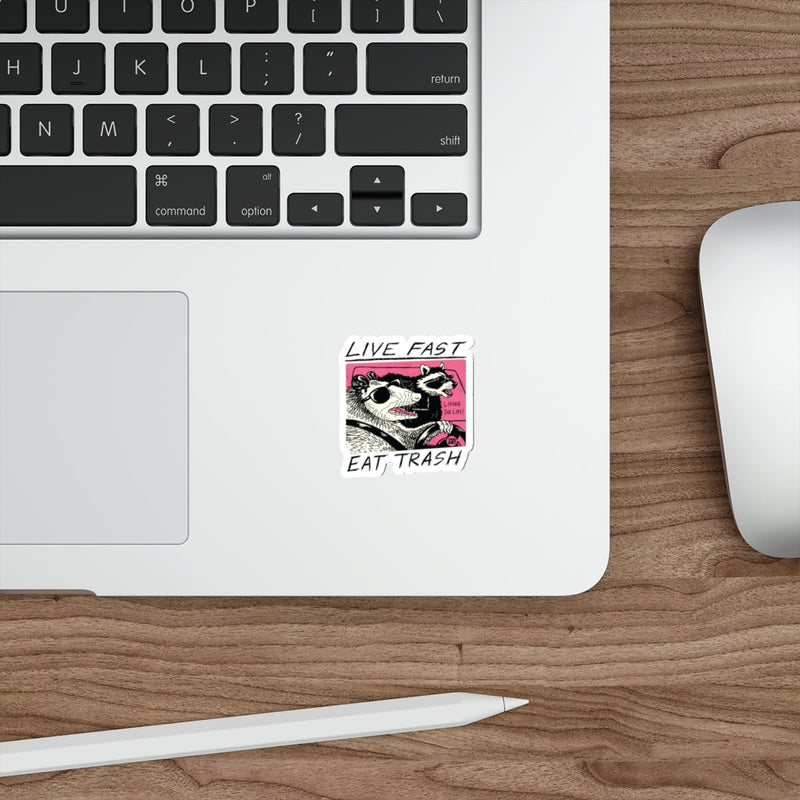 Load image into Gallery viewer, Live Fast Eat Trash Opossum Raccoon Driving Art sticker
