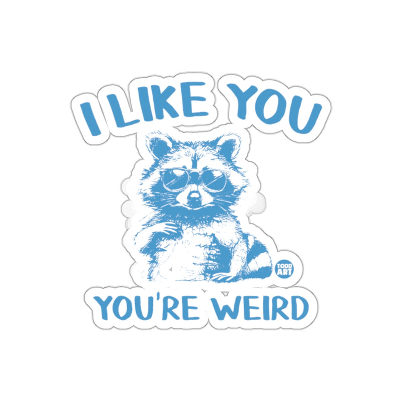 Load image into Gallery viewer, Cool Raccoon I Like You You're Weird Design sticker
