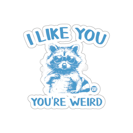 Cool Raccoon I Like You You're Weird Design sticker