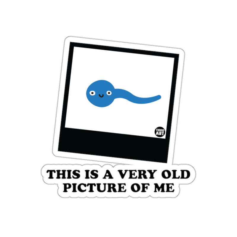 Load image into Gallery viewer, This Is a Very Old Picture of Me sticker
