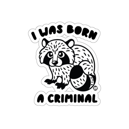 I Was Born A Criminal Raccoon Funny Animal Design Sticker