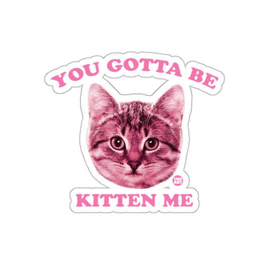 You Gotta Be Kitten Me Cat Head Funny Sticker