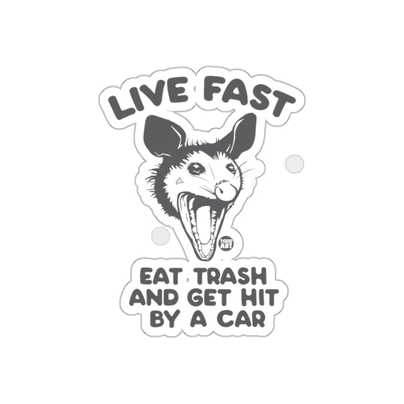 Load image into Gallery viewer, Live Fast Eat Trash Graphic Opossum Design sticker
