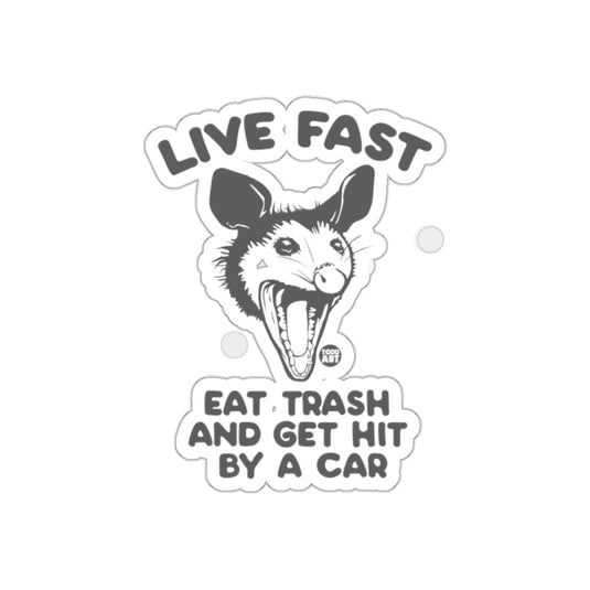 Live Fast Eat Trash Graphic Opossum Design sticker