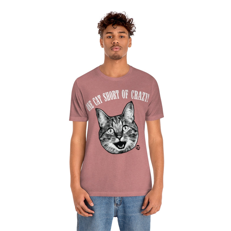 Load image into Gallery viewer, One Cat Short Of Crazy Unisex Tee
