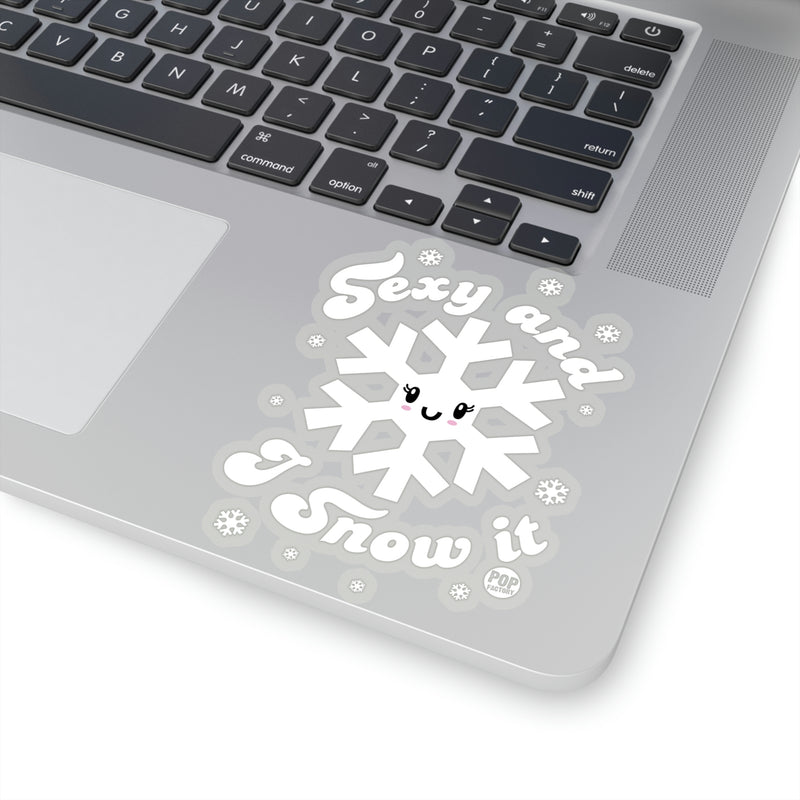 Load image into Gallery viewer, Sexy And Snow It Sticker
