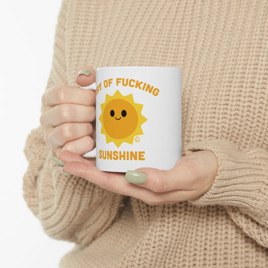 Ray Of Fucking Sunshine Mug