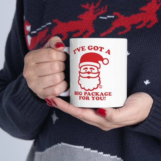 Santa Big Package Mug