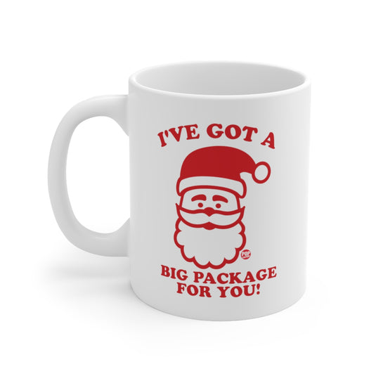 Santa Big Package Mug