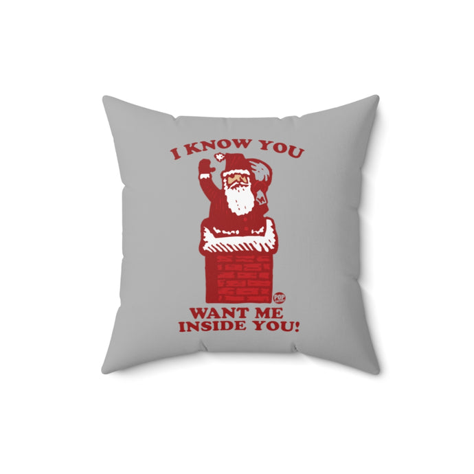 Santa Inside You Chimney Pillow