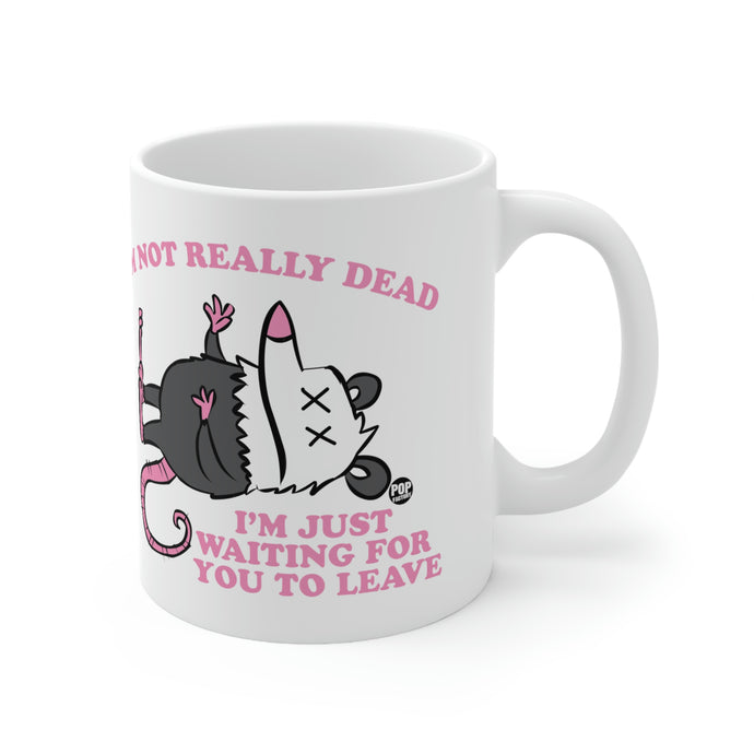 Dead Possum Mug