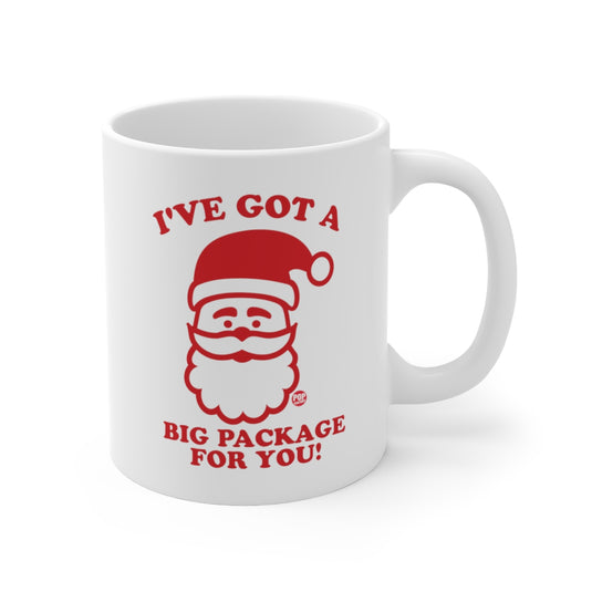 Santa Big Package Mug