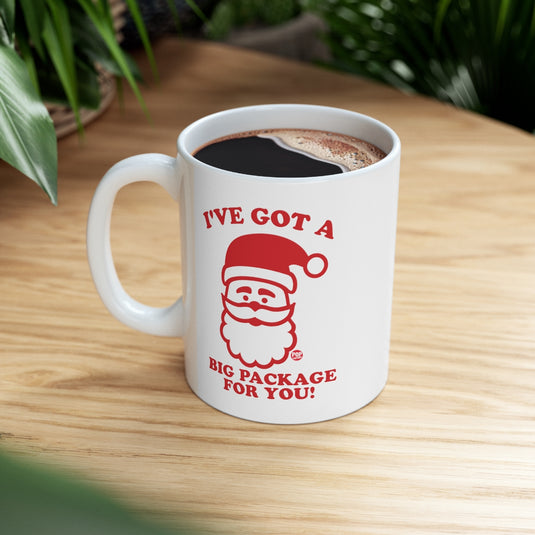 Santa Big Package Mug