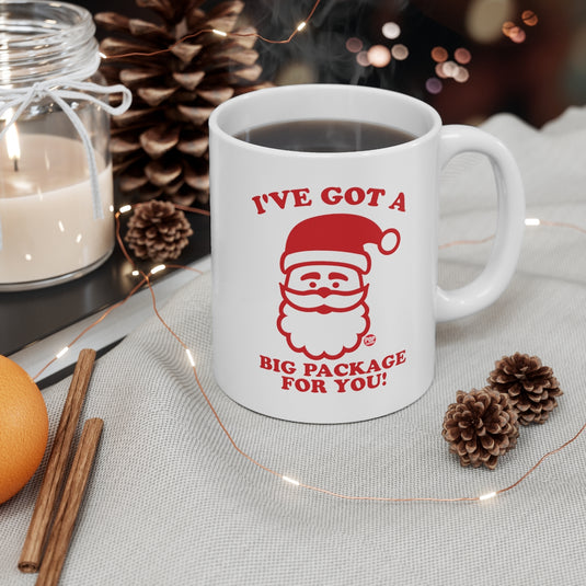 Santa Big Package Mug