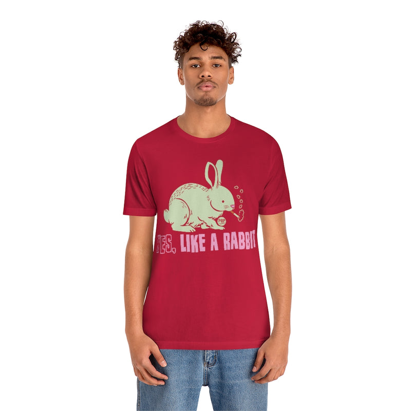 Load image into Gallery viewer, Fuck Like Rabbit Unisex Tee
