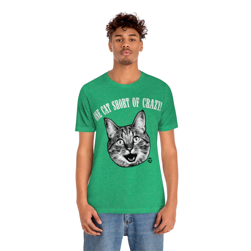 Load image into Gallery viewer, One Cat Short Of Crazy Unisex Tee
