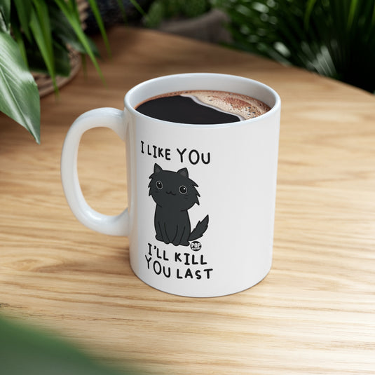 Kill You Last Cat Mug