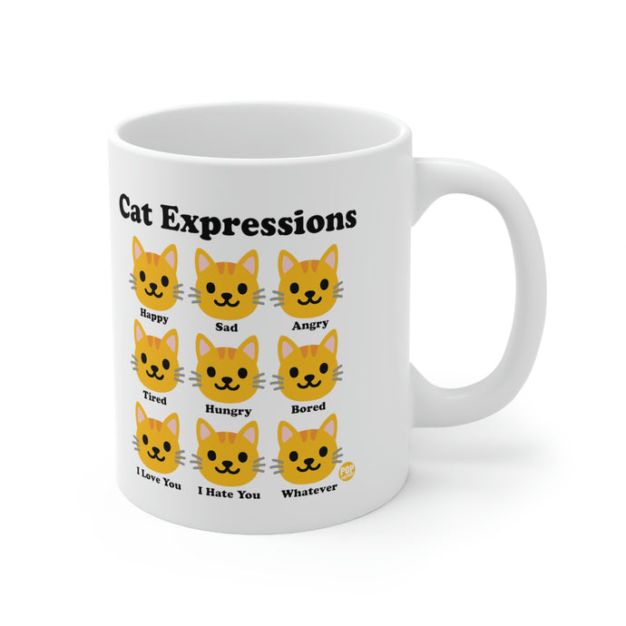 Cat Expressions Mug